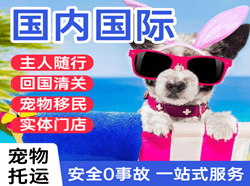 上海浦东机场快运国际宠物托运 【国